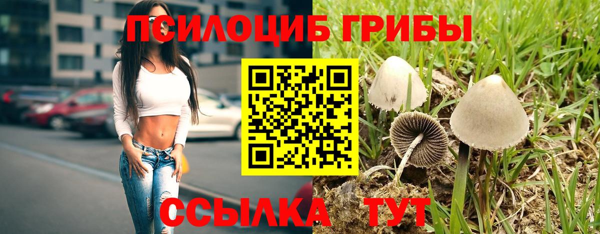 Псилоцибиновые грибы мухоморы Раменское
