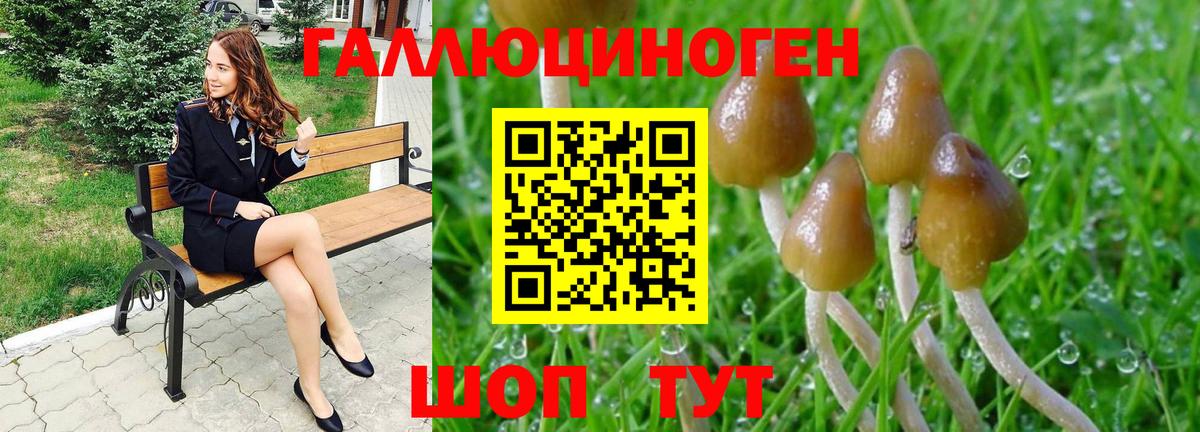Псилоцибиновые грибы Psilocybine cubensis  Вход с VPN  Раменское 