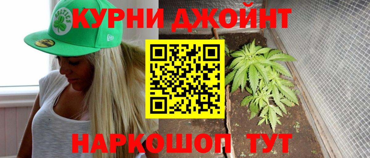 Бошки Шишки семена  Вход с VPN  Конопля план  Раменское  Бошки Шишки White Widow  Бошки Шишки планчик 
